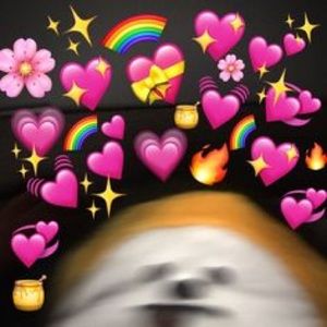 Meet your Posher, Mya